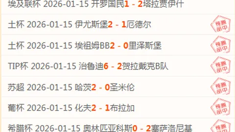 莱杜尼制胜射门，柏林联合高效反击赢得德甲荣耀